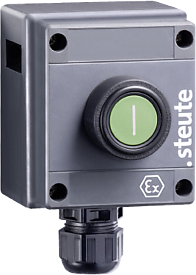 Ex BF 80 1 DT 1?/1S 防爆控制装置